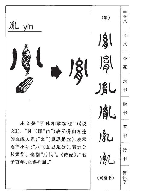 胤什麼意思